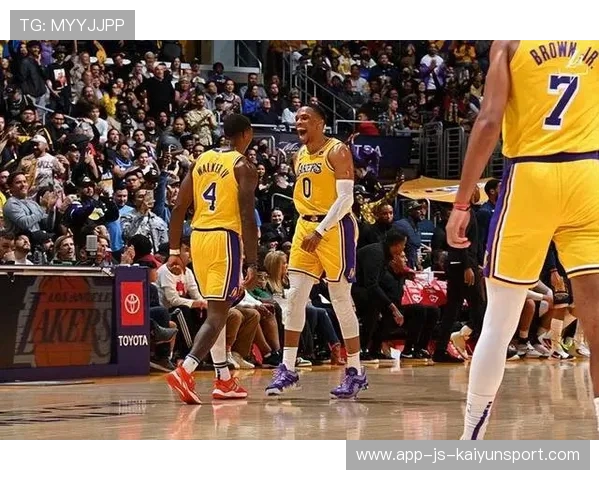 布朗中距离稳定输出